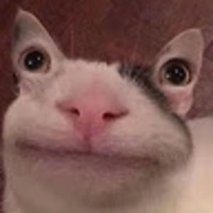 Meet your Posher, Alexander